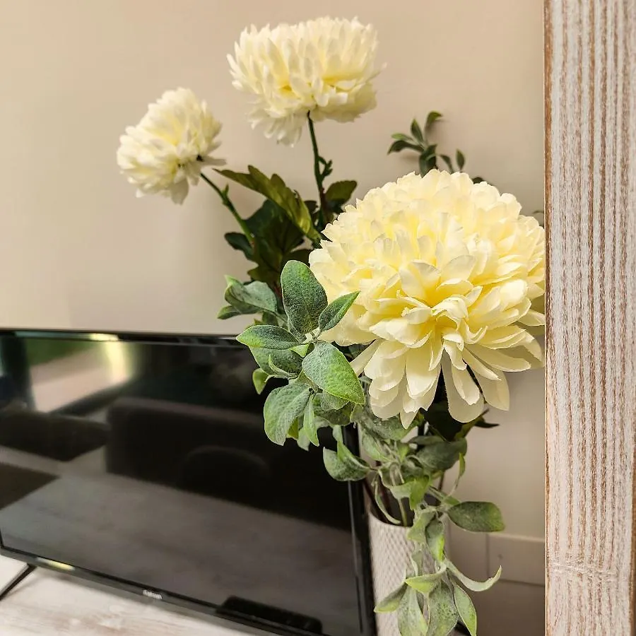 Delphinium Hotel Selargius Italia